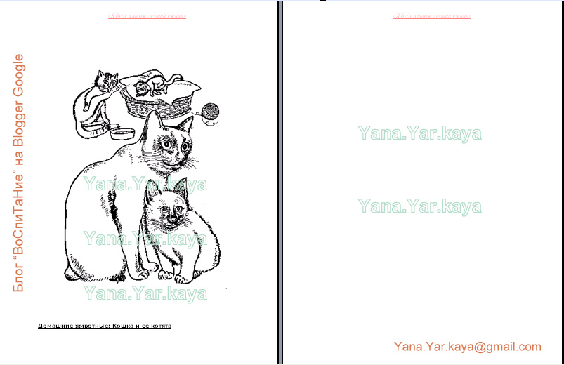 [Полноэкранная+запись+16.01.2009+182230.bmp.jpg]