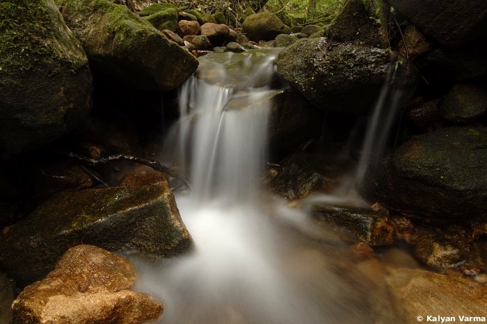 [rajmalai_stream_556.jpg]