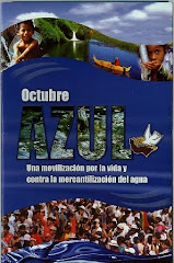 cartilla campaña 2008