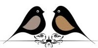 two black birds