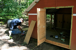 coop chicken french lewie doors working