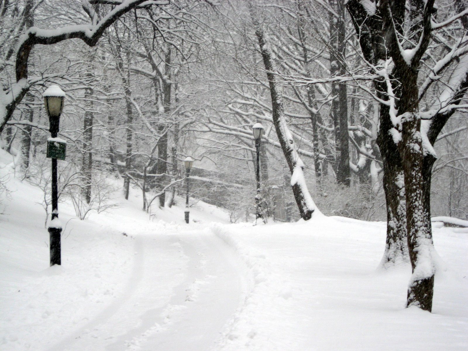 [riverside_park_2.jpg]