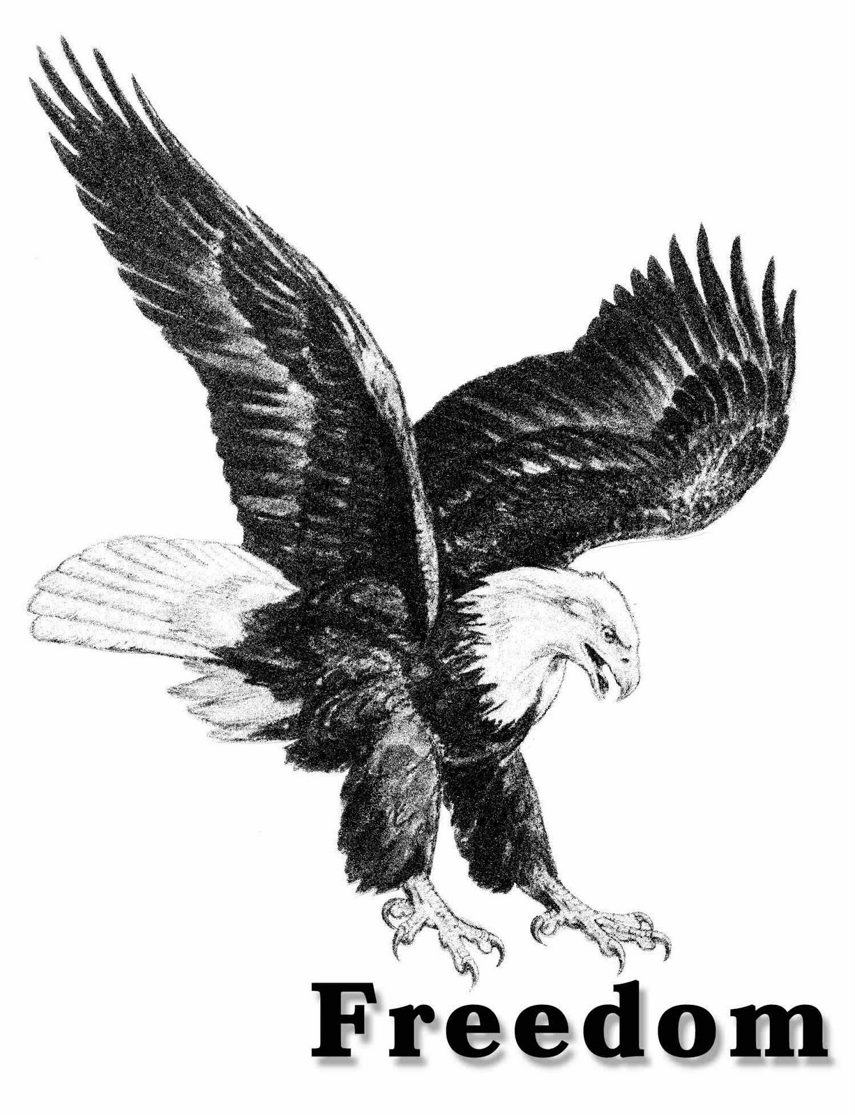 free clip art american eagle - photo #47