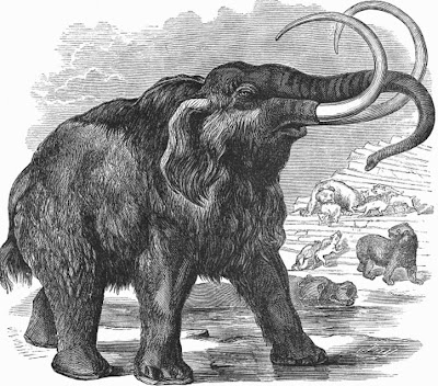 Woolly Mammoth