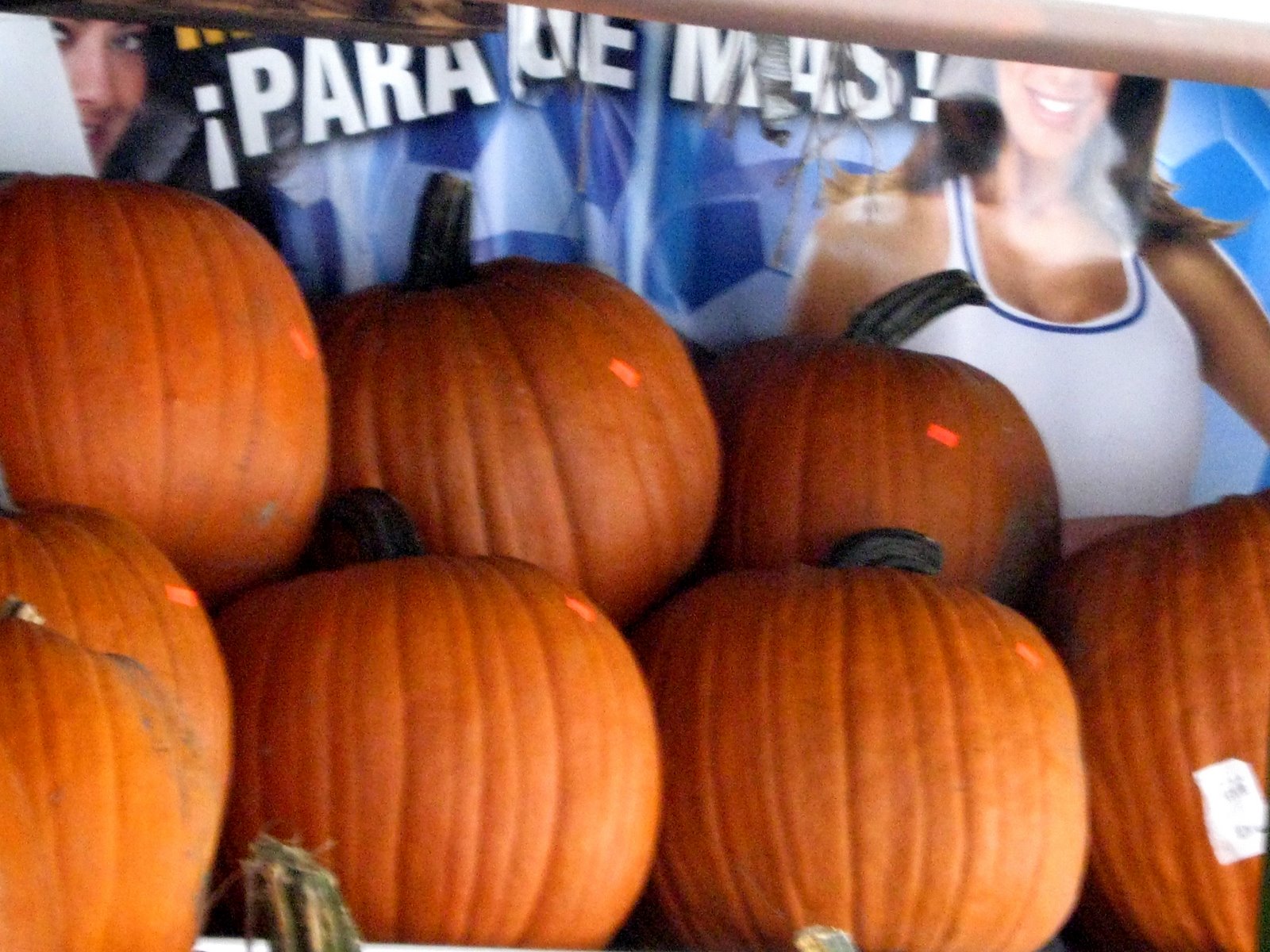 [halloween_para_que_mas.jpg]