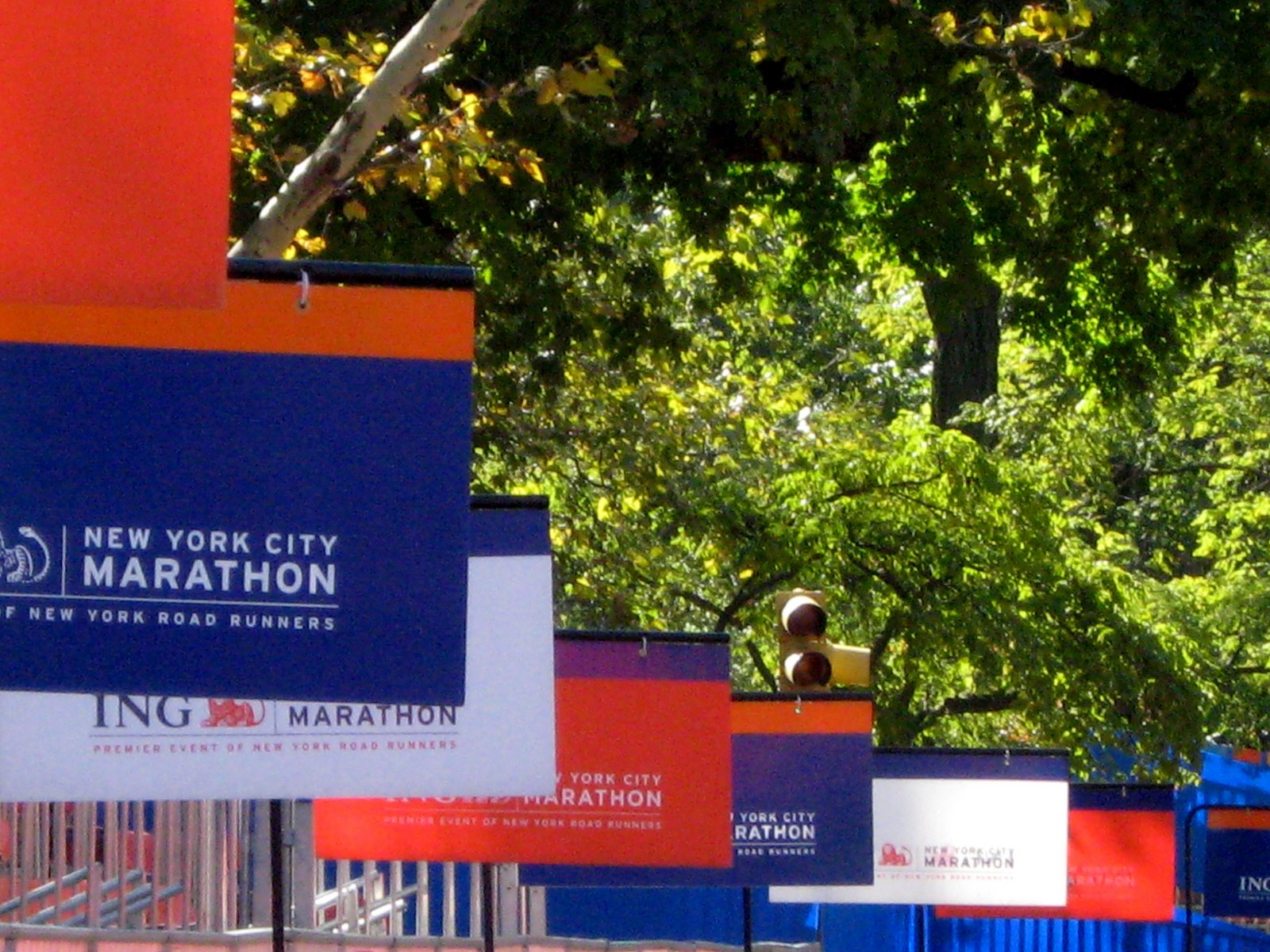 [new_york_marathon_2.jpg]