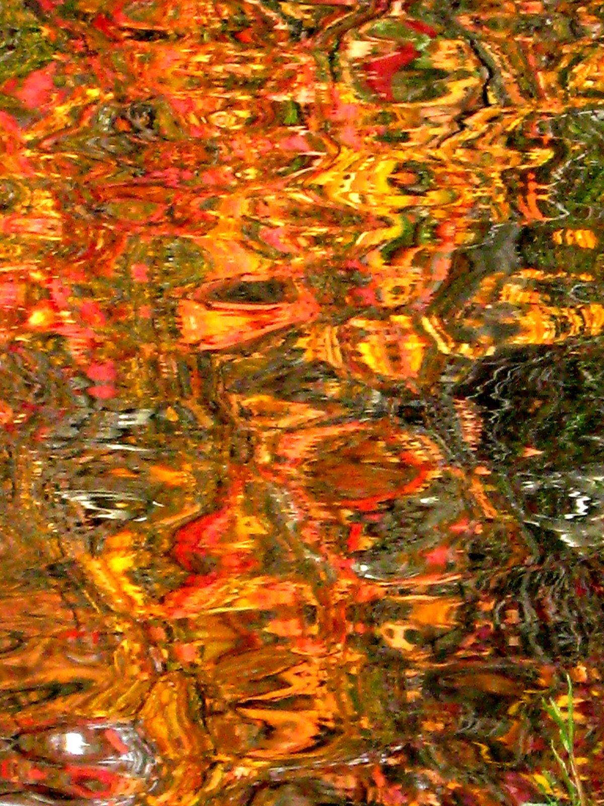 [lake_reflection_4.jpg]