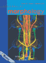 Journal of Morphology cover