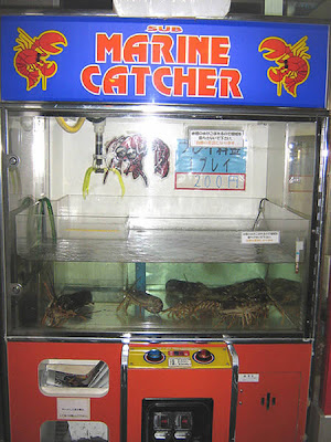 lobster_vending_machine.jpg