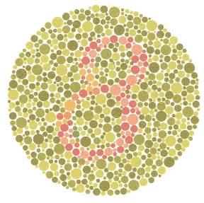 Can Blindness Be Reversed In Dogs Can Blindness Be Reversed In Dogs
