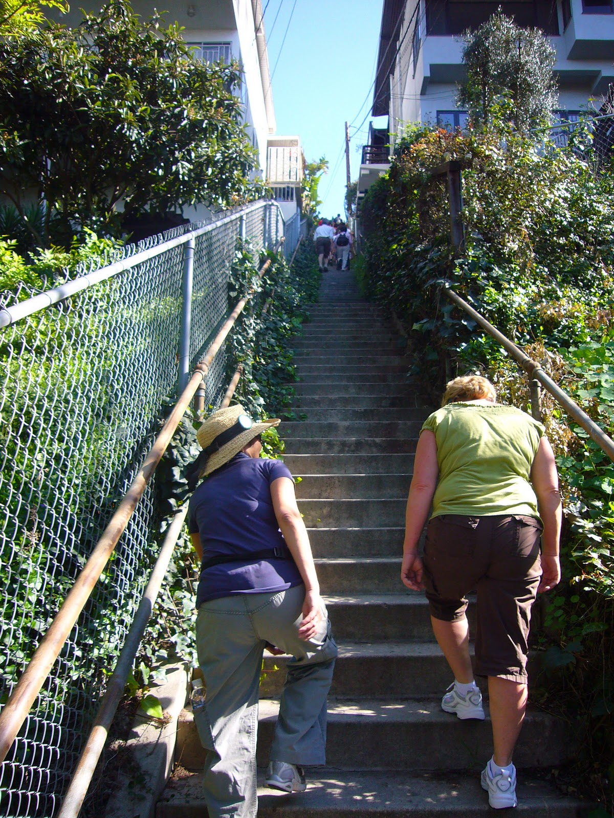 Art Rat Walking With Mr Fleming art-rat-walking-with-mr-fleming