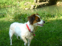 Another one of the Runde pets, Zoey