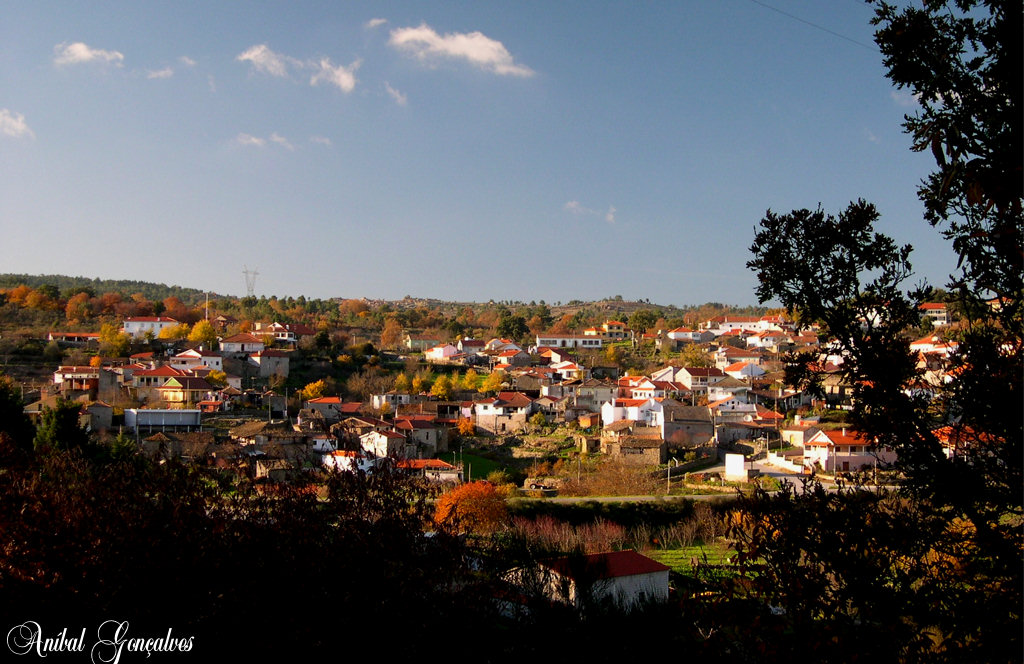 [VilaFlor224.jpg]