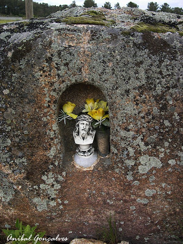 [VilaFlor1365.jpg]