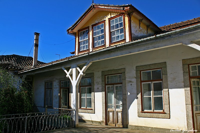 [VilaFlor1389.jpg]
