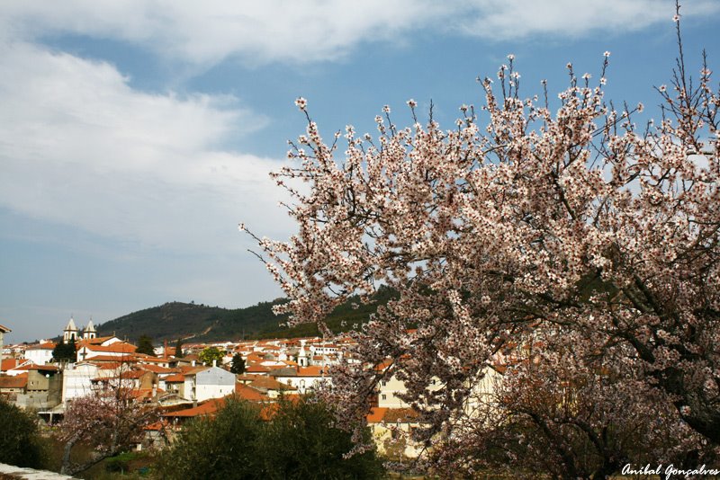 [VilaFlor1400.jpg]