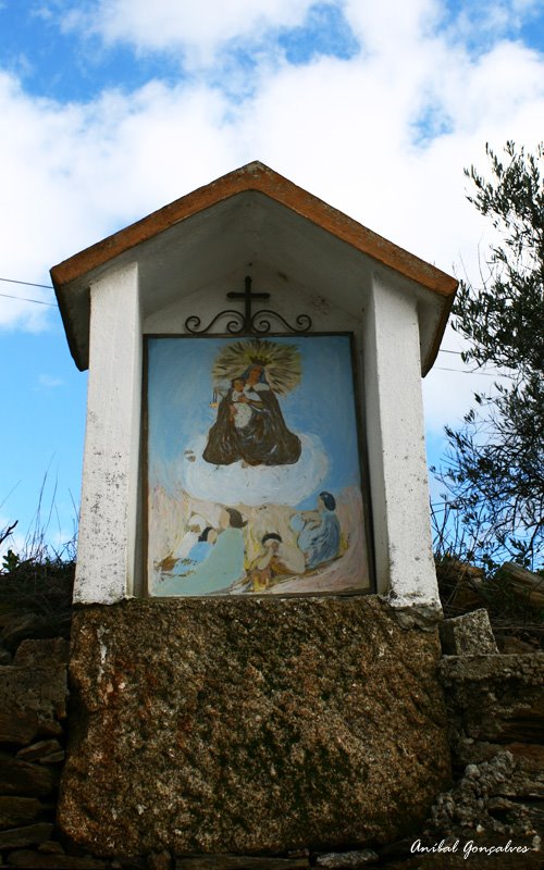 [VilaFlor1415.jpg]