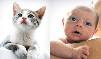 Cute+Combination+02.jpg