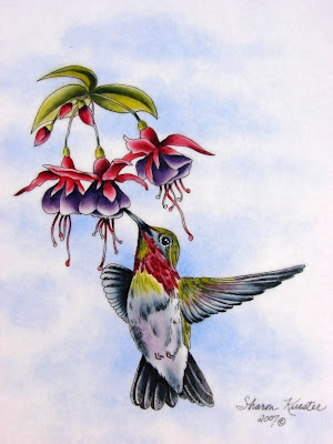 Hummingbird 3D wallpapers