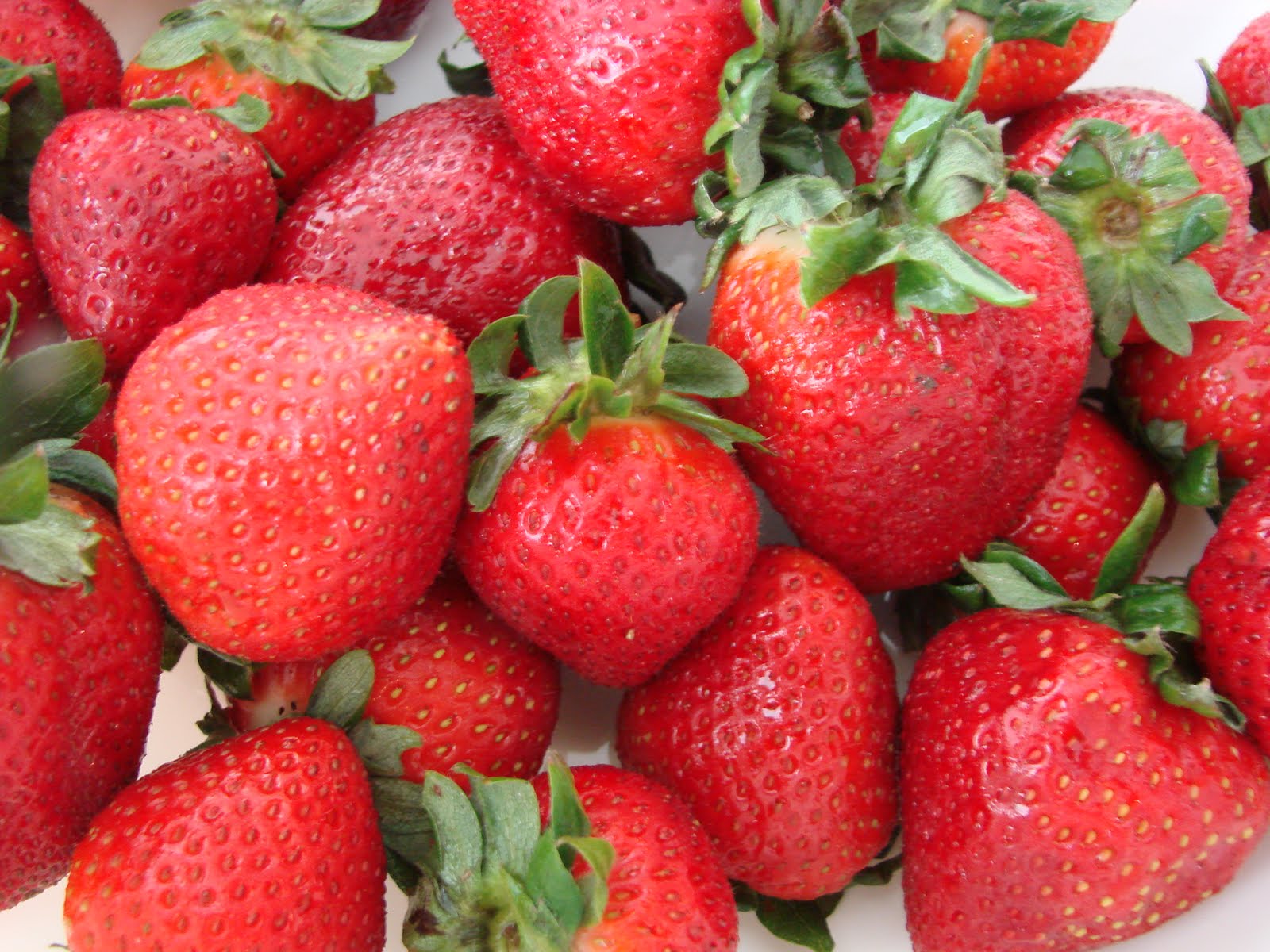 Halal Mama Fresh Fruit Tart