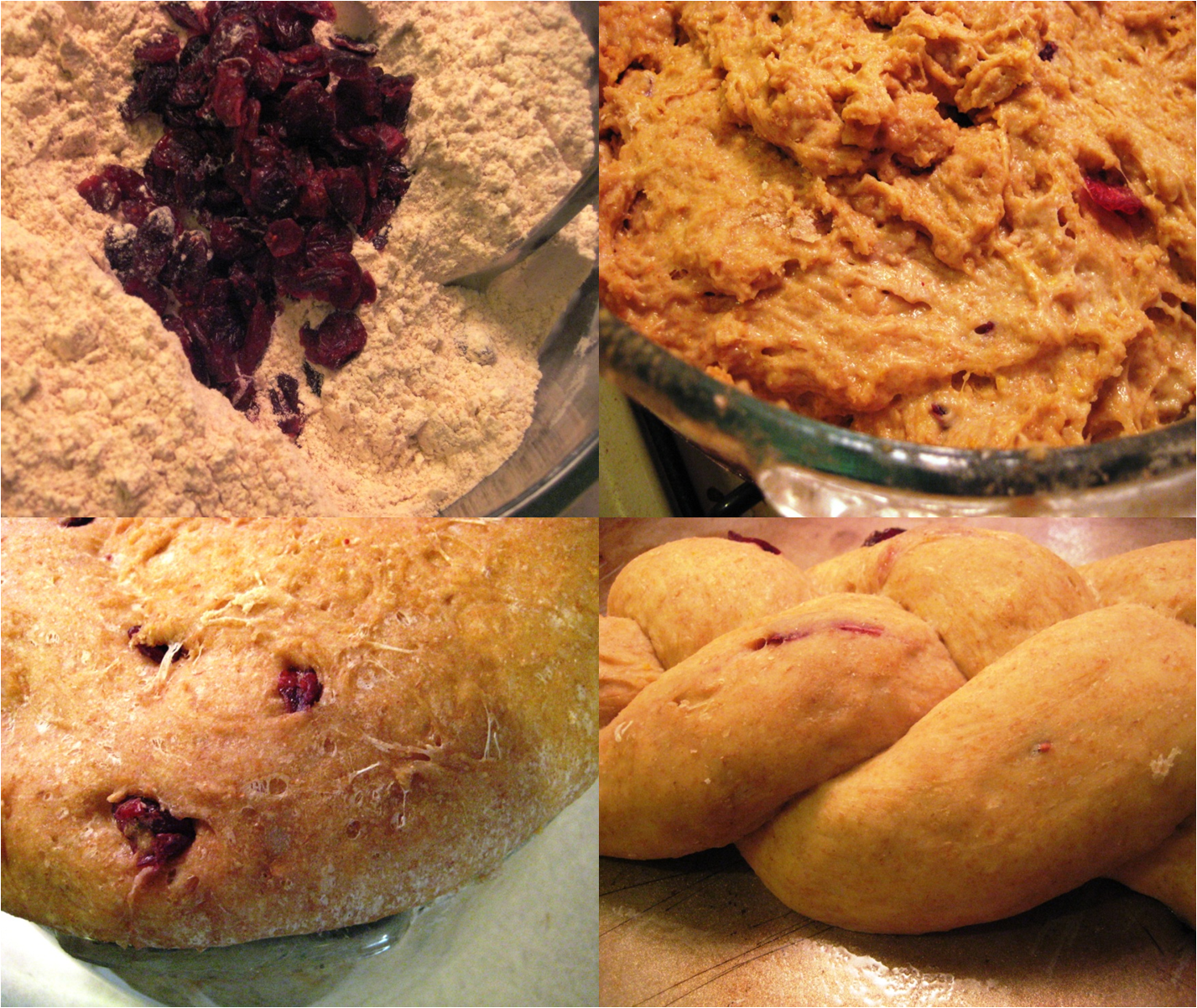 [bread.png]