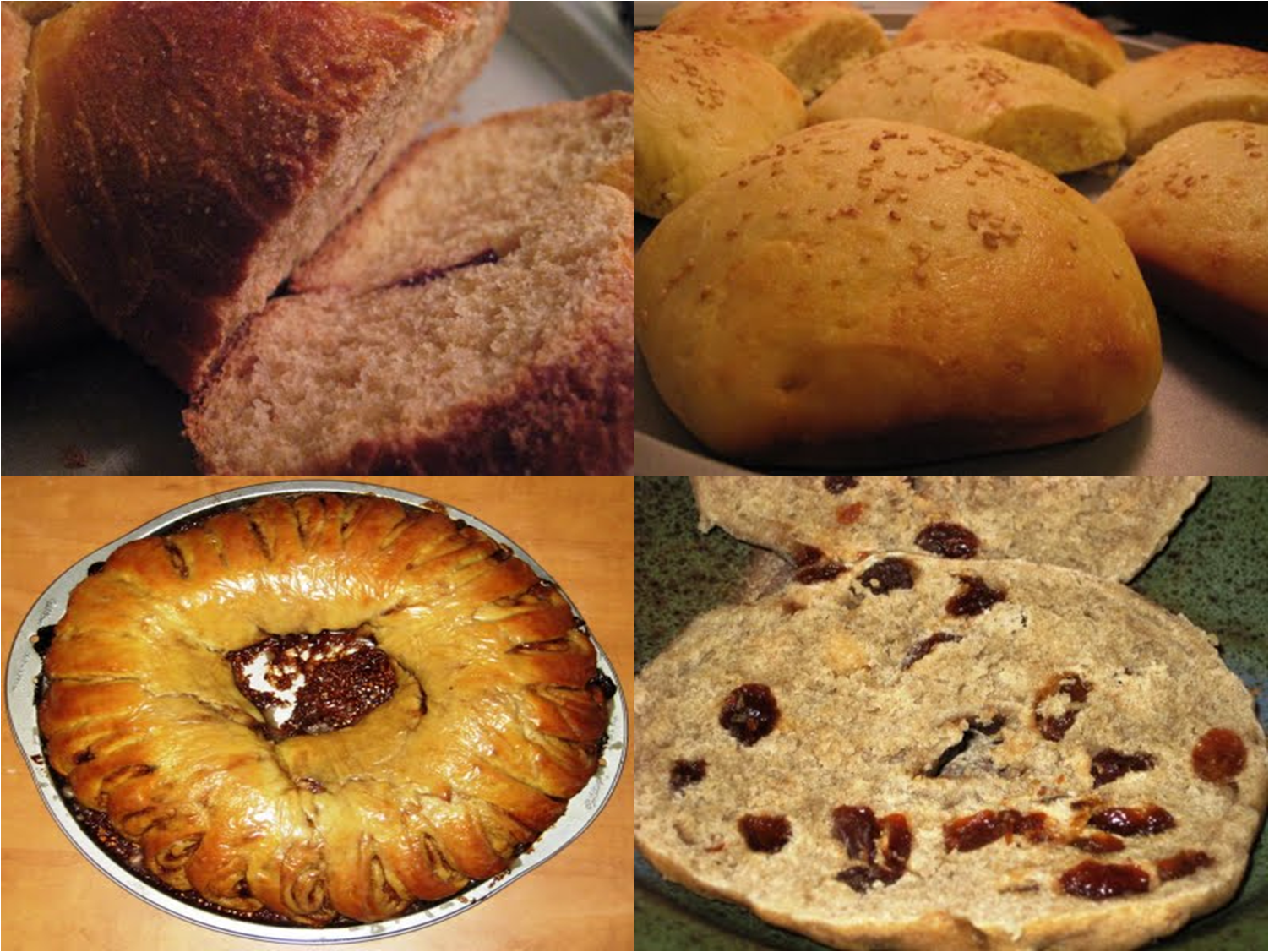[yeastcomp.png]