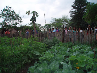 Image of a urban land farm