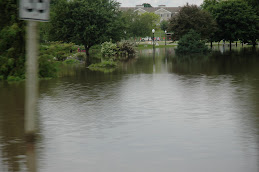 Flood