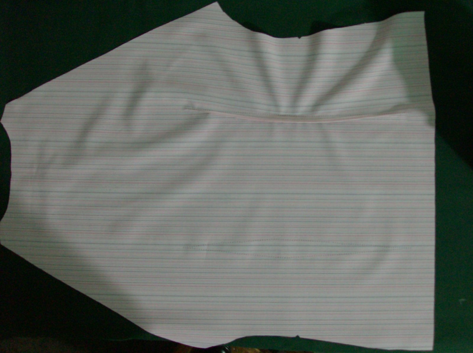 [blusa+104+nueva+burda+pinza+espalda.jpg]