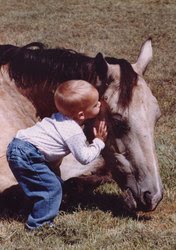 [baby+with+horse.jpg]
