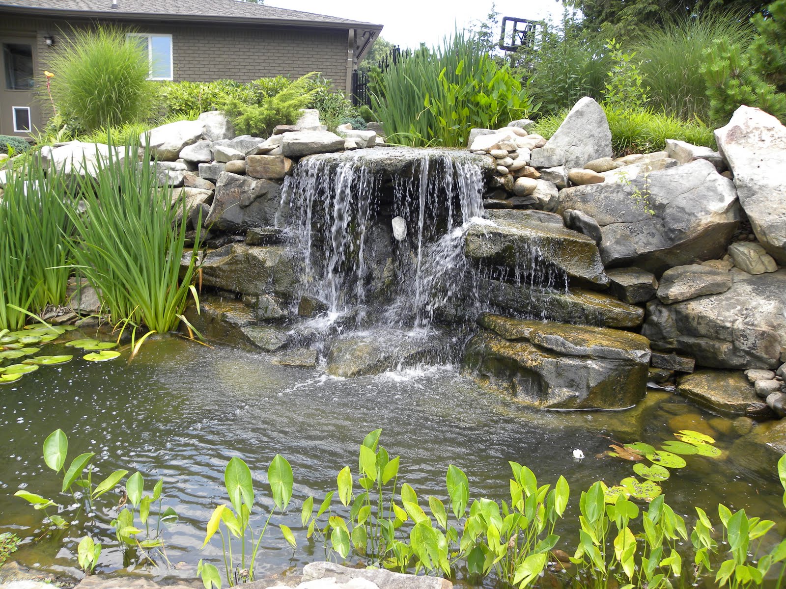 garden-with-koi-pond-location.jpg