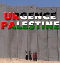 Palestine Vivra !