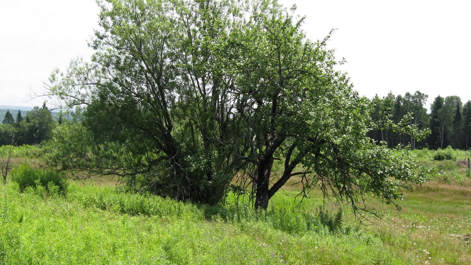 [IMG_0040.JPG]