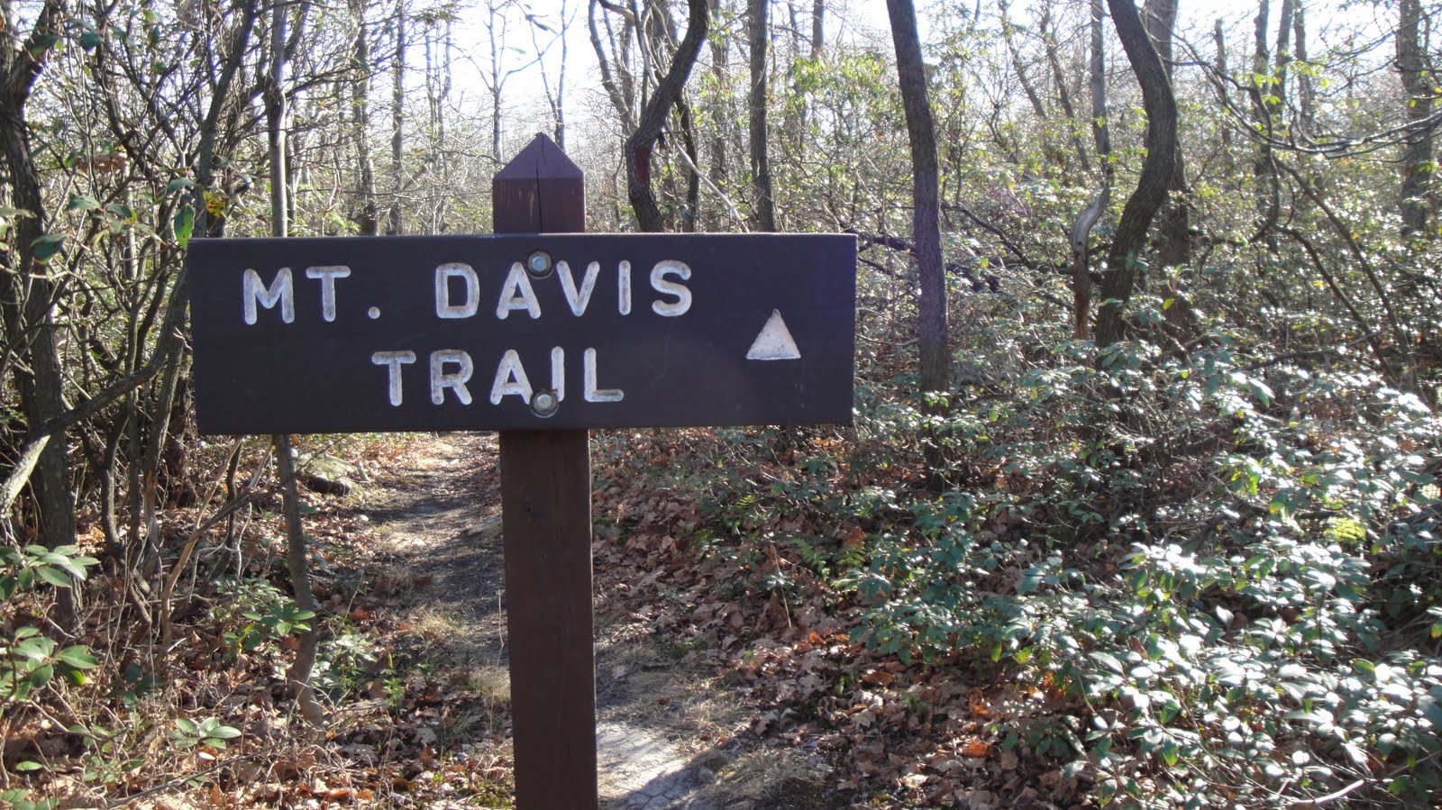 Outdoors Mount Davis, PA