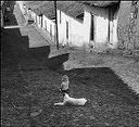 Henri Cartier - Bresson