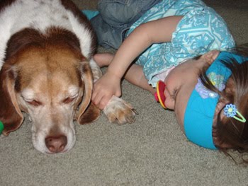 [2006.05.22EdenZippo.jpg]