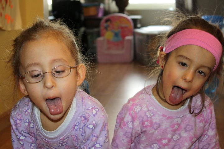 [2009.01.23Doggies.jpg]