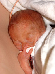 [2004.08.15HollandKangarooCloseup.jpg]