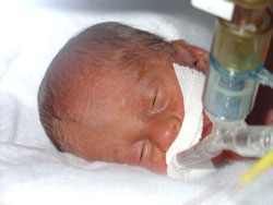 [2004.08.27HollandsHomeCloseup.jpg]