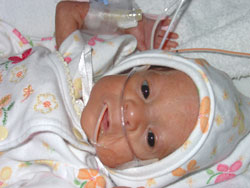 [2004.10.07HollandYellowFlowers.jpg]