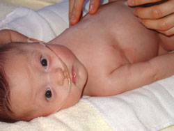 [2005.1.30HollandMassage.jpg]