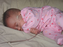 [2005.2.10EdenSleepingCurledUp.jpg]