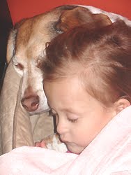 [2007.01.19HollandZippo.jpg]