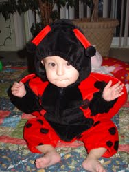 [2005.10.31HollandLadyBug.jpg]