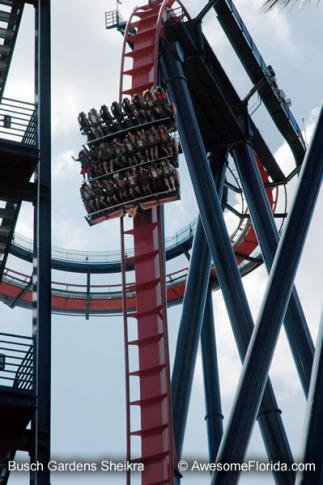 [busch-gardens-sheikra-2b1229027179.jpg]