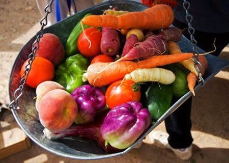 Fermented Foods Make Me Sick Fermented Foods Make Me Sick