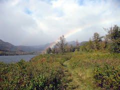 Rainbow over Saltery Lake Lodge