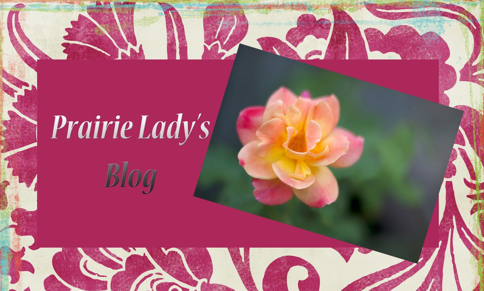 Prairie Lady's Blog