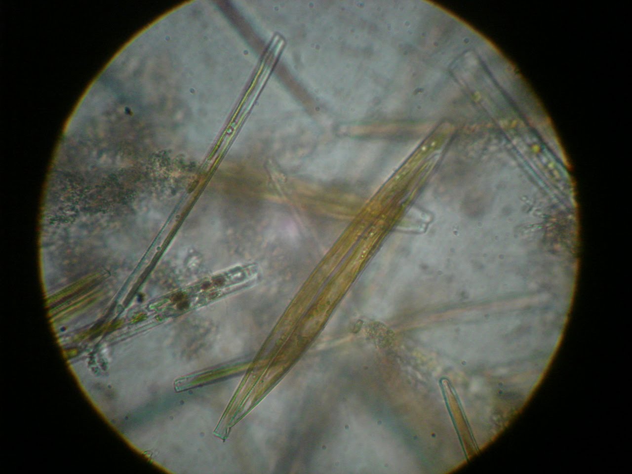 [DSC01112.JPG]