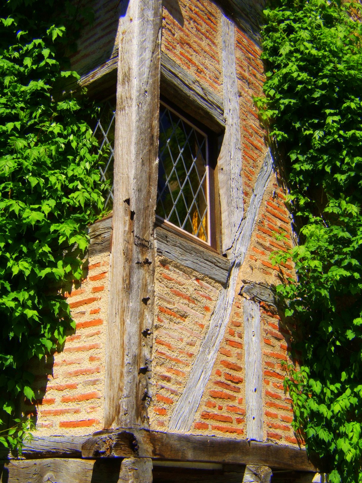 Un jour....Une photo ! SaintCirq Lapopie.